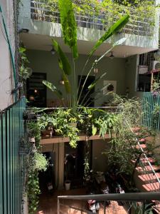 a room filled with lots of plants on a building at Fam Friendly-Center Old Quater-Super Location in Hanoi
