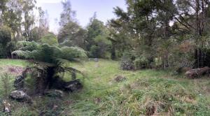 Galeriebild der Unterkunft Chalet 13 Bedlington in Whangarei