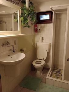 Koupelna v ubytování Apartmán 139