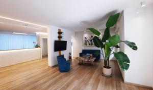 a living room with a couch and a potted plant at Villa Serena in Lido di Jesolo