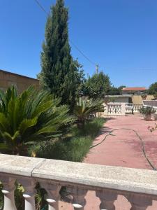 Foto sihtkohas Nettuno asuva majutusasutuse Camera vicino al mare galeriist