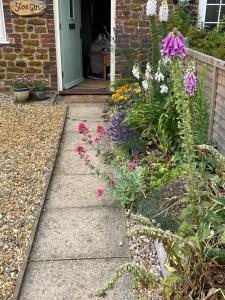un jardin fleuri devant une maison dans l'établissement Sloe Gin Cottage, à Heacham 3 autres photos