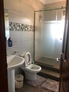 een badkamer met een wastafel, een toilet en een douche bij Bridges incorporated limited in Entebbe