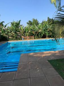 een blauw zwembad met bomen op de achtergrond bij Bridges incorporated limited in Entebbe
