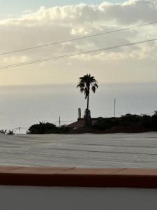 a palm tree in front of the ocean at New modern apartment, Scandinavian style, ocean view, huge terrace in Icod de los Vinos