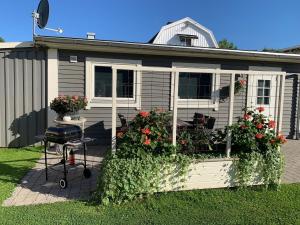 a tiny house with a garden in the yard at Gårdshus i Borgholm, Öland in Borgholm