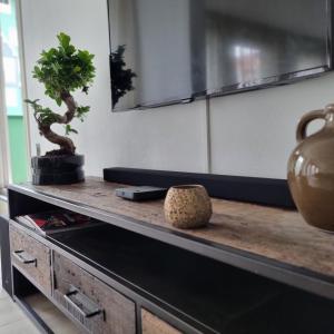 ein Tisch mit zwei Pflanzen darüber in der Unterkunft Hermitage Suites & Apartments - Amsterdam Zaandam in Zaandam