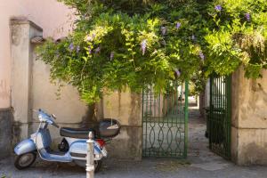Fotografie z fotogalerie ubytování Maison Rosetta v destinaci Sant'Agnello