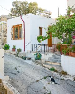 a cat sitting in front of a house at Guest house Dimitra in Sitia