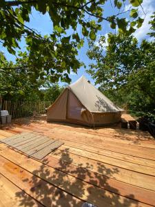 Φωτογραφία από το άλμπουμ του La Nocciolaia Glamping σε Lequio Tanaro