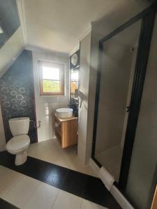 a bathroom with a toilet and a sink and a shower at Góralskie przytulne Domki u Kantora 13E in Poronin +21 photos