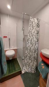 a bathroom with a shower and a toilet and a sink at COUETTE et CAFÉ CHEZ ADRIEN in Boutigny-sur-Essonnes