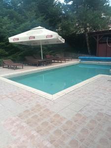 a pool with an umbrella and benches and a table and chairs at Berek Fogadó in Mátranovák