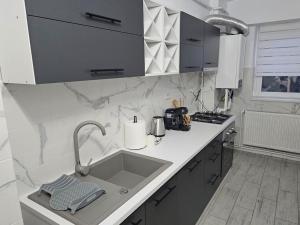 a kitchen with a sink and a counter top at Relaxare în Inima Orașului in Dorohoi