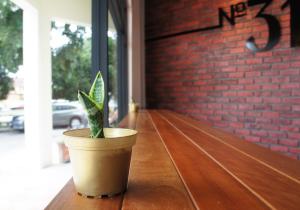 Fotografie z fotogalerie ubytování No.31 Maple Inn v destinaci Simpang Ampat