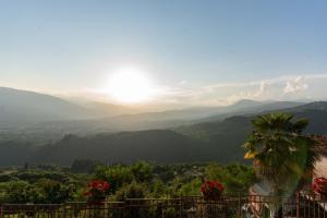 a palm tree sitting on top of a hill with a valley at Villa Loris - History & Luxury in Pieve Fosciana