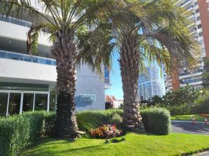 two palm trees in front of a building at Nancy Forest 888 in Punta del Este