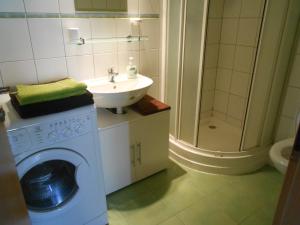オロモウツにあるApartmán 4U Olomoucのバスルーム(洗濯機、シンク付)
