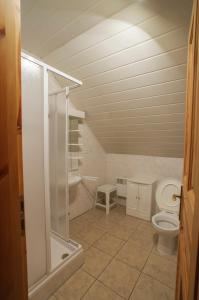 a bathroom with a shower and a toilet at Chalupa Pohodička in Studenec