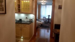 Η κουζίνα ή μικρή κουζίνα στο Modern Lux Studio w Inside parking 5 min from Skadarlija, Republic Sqre