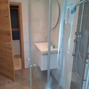 a bathroom with a shower and a sink and a mirror at Fewo Verena mit 2 Schlafzimmern in Diemelsee