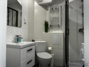 a white bathroom with a toilet and a sink at Małe Pieniny in Szczawnica +21 photos