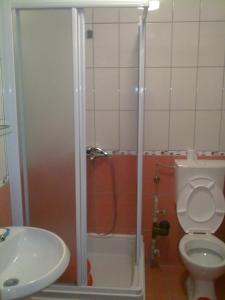 a bathroom with a shower and a toilet and a sink at Apartment Joco in Ohrid +12 photos