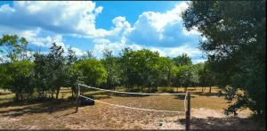 a volley ball net in a field with trees at MeMaws Country Cabin in Pipe Creek