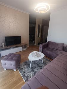 Μια τηλεόραση ή/και κέντρο ψυχαγωγίας στο Apartman Tole Divčibare