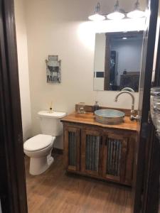 a bathroom with a toilet and a sink with a mirror at Pleasant Valley Farm Dairy Barn writer's retreat in Columbia