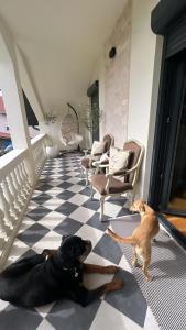 Billede fra billedgalleriet på Villa Sienna i Vrnjačka Banja + 18 billeder