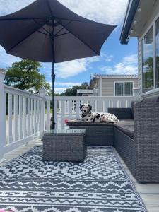 Balkón nebo terasa v ubytování Luxury Static Caravan