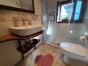 a bathroom with a sink and a shower at Agriturismo Campo alla Cantina appartamento Papavero-Malva in Gavorrano