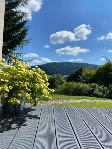木屋周边自然景观