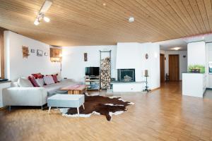 TV a/nebo společenská místnost v ubytování Apartment Camelia