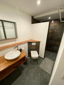 a bathroom with a sink and a toilet at Ferienwohnung Auszeit in Freiamt