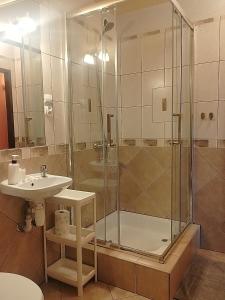 Łazienka w obiekcie Zajazd u Hermanów