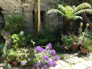 Zahrada ubytování Hôtel Tanquerey de La Rochaisière
