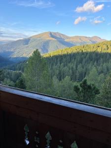 Paesaggio naturale nelle vicinanze dell'appartamento