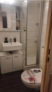 a bathroom with a shower and a toilet and a sink at Doppelzimmer Erfurt in Erfurt