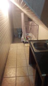 un piccolo bagno con un water e un lavandino di Gostevoi dom Batumi. a Batumi