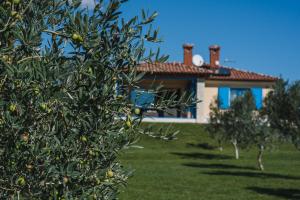 Zahrada ubytování Villa Evelyn