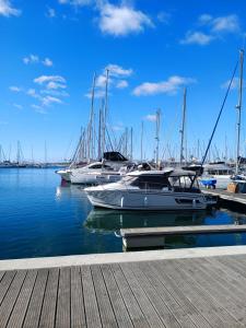 a group of boats docked in a marina at Appartement au Cap d'Agde in Cap d'Agde