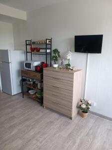 a kitchen with a refrigerator and a counter with a tv at Appartement au Cap d'Agde in Cap d'Agde