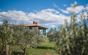 Zahrada ubytování Villa Evelyn