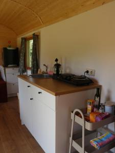 Kuchyň nebo kuchyňský kout v ubytování Löwenzahn-Lodge