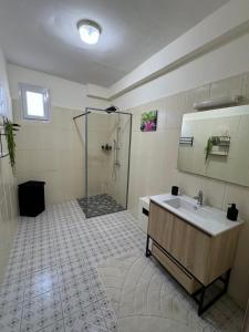 a bathroom with a shower and a sink at Résidence la rosée in Mamoudzou