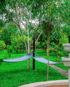 a hammock between two trees in a park at Ubuntu Kreative Village in Nairobi +3 photos