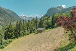 a dirt road with a barn on the side of a mountain at Etoile des Vents 1 in Morzine