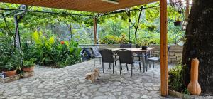 صورة لـ Klejdi's house في كيبارو